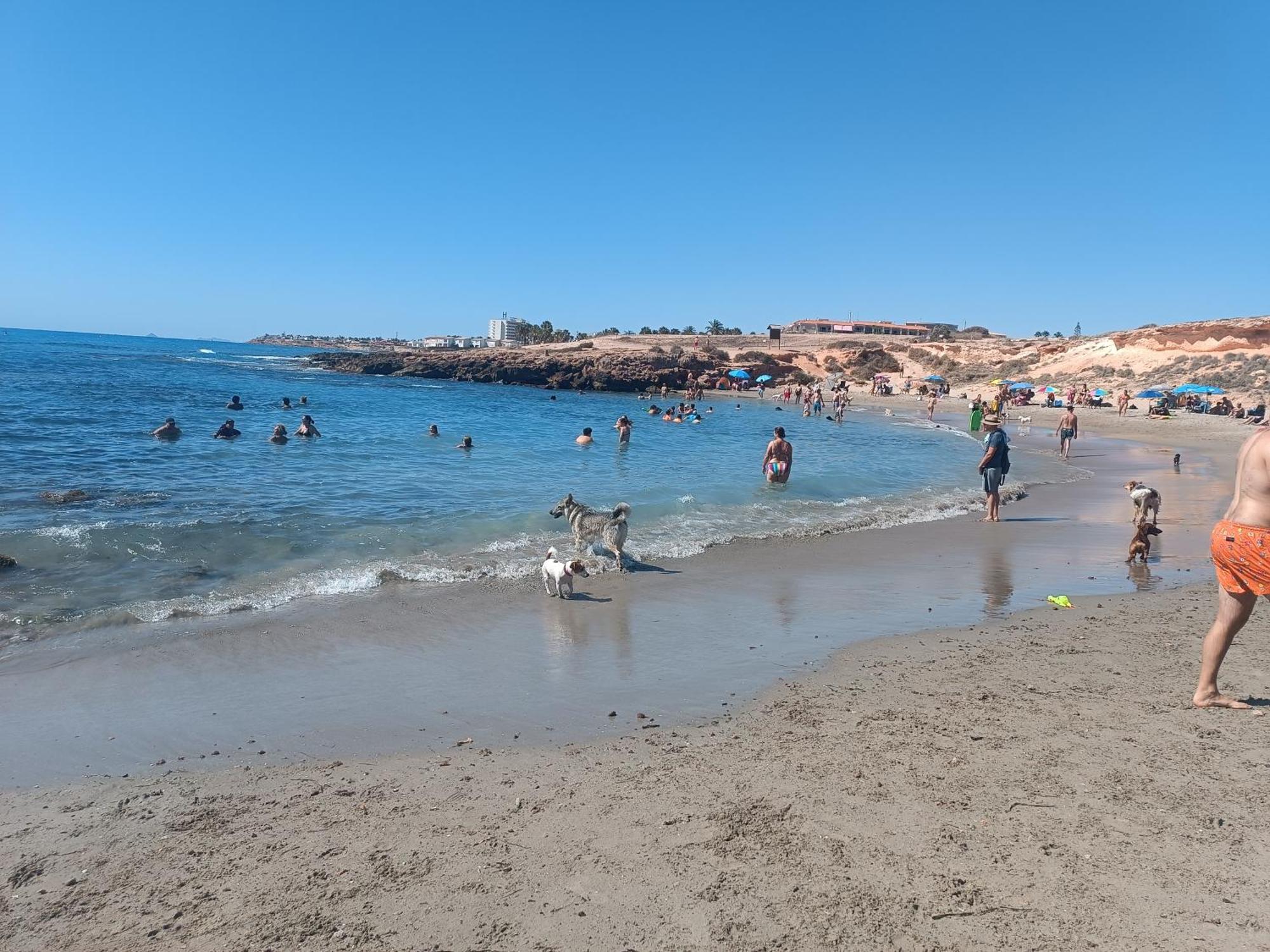 Apartamento La Campana Dehesa de Campoamor  Exterior foto